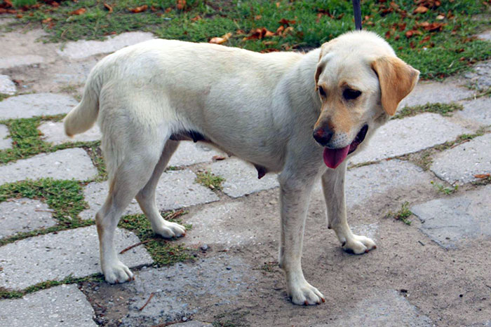 sunia2