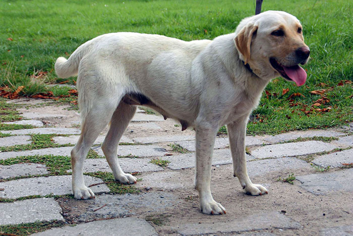 sunia3