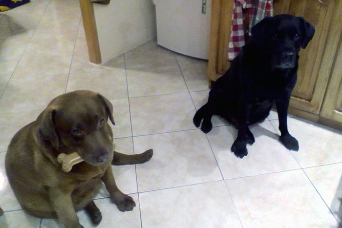Arisa i Aron