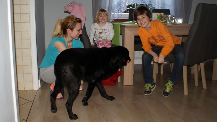 Labrador Grand