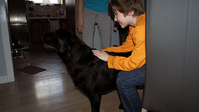 Labrador Grand