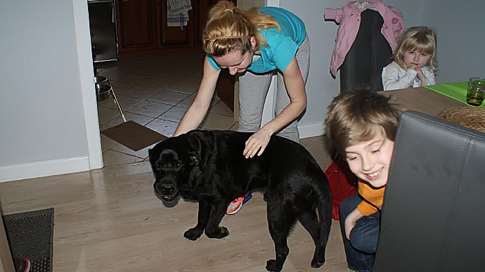 Labrador Grand