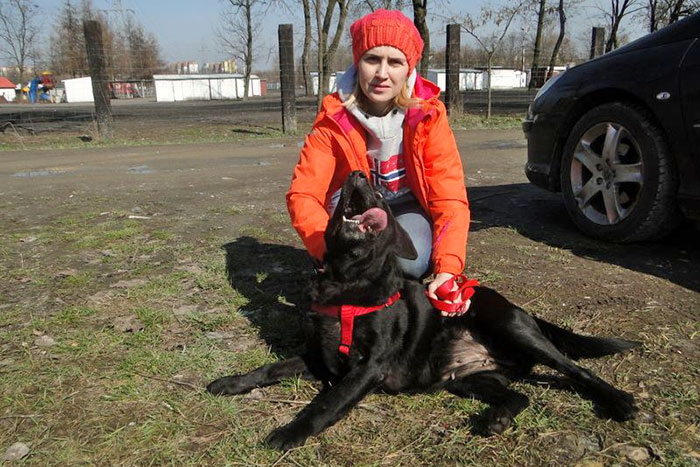 Labradorka Sally