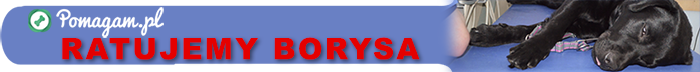 banerborys