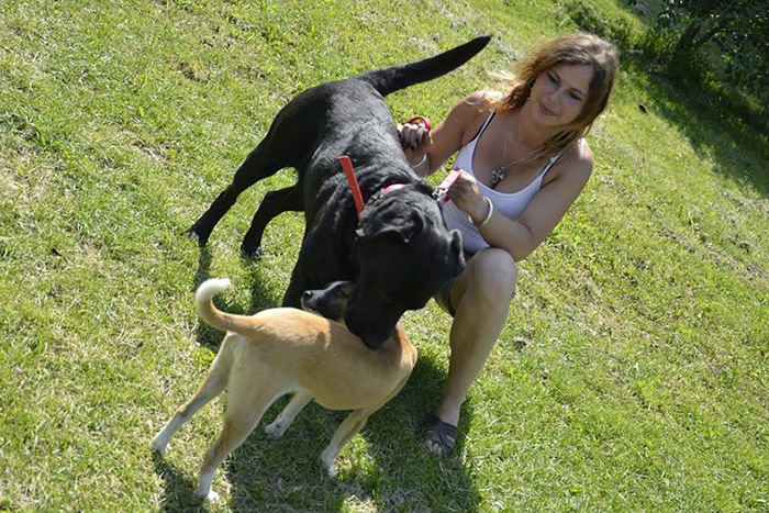 Czarny labrador
