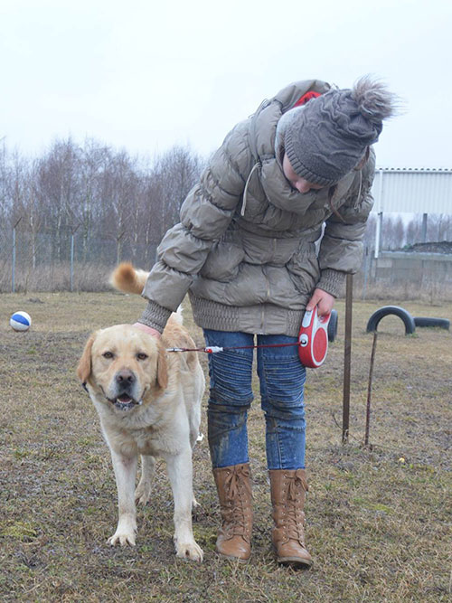 Labrador