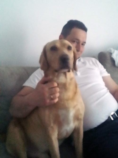 Labrador Tobi