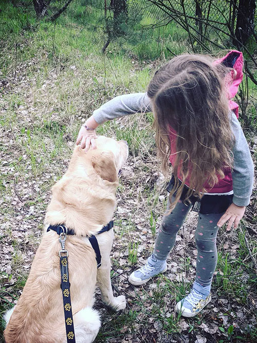 Labrador Sony