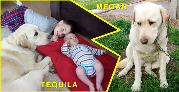 Megan/Tequila