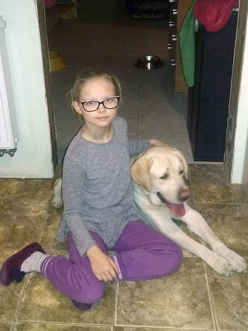 Sali, labrador w potrzebie