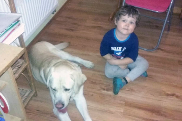 Labrador Sali w potrzebie