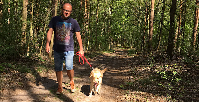 Labradorka Luna
