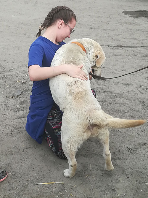Gabrysia, labradorka do adopcji