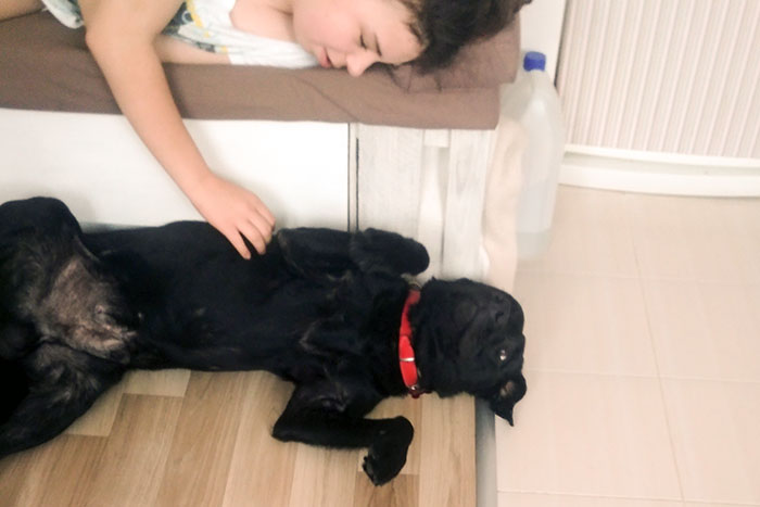 Labrador Poker