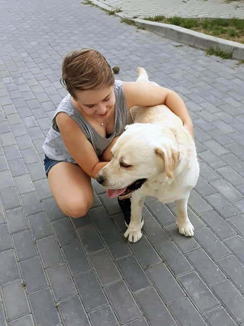 Maurycy, labrador do adopcji