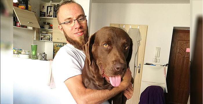 Labrador Poker