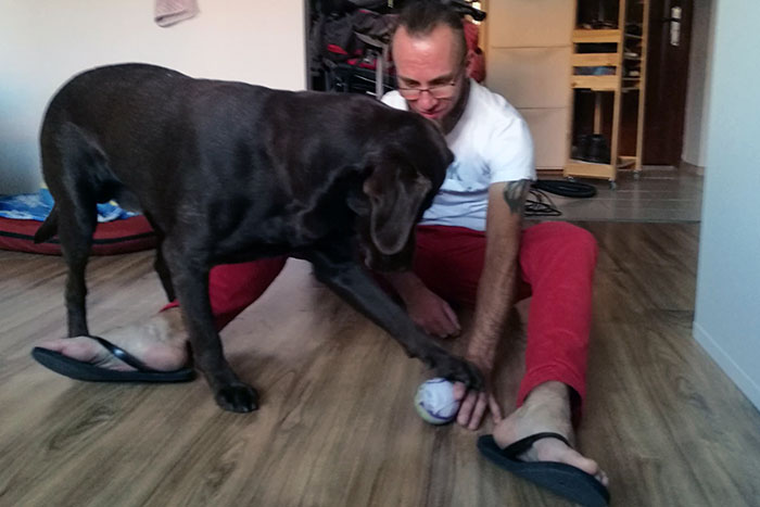 Labrador Poker