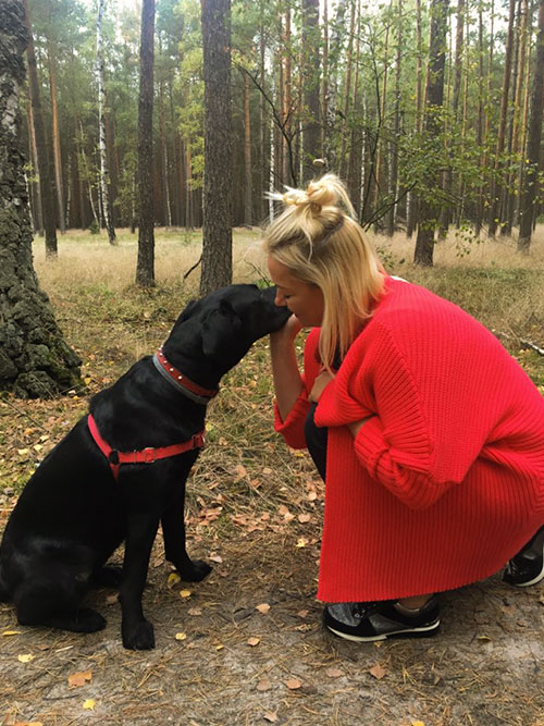 Labradorka Sasza
