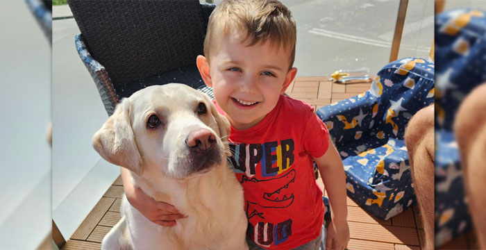 Lucky, labrador do adopcji