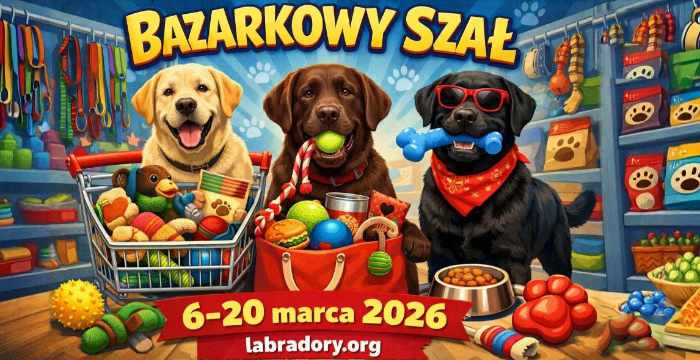 Bazarek dla labradorów